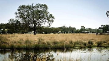 Un paisaje rural con un árbol grande, una masa de agua y un molino de viento a lo lejos.