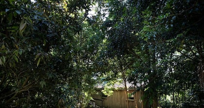 Spacious Cabin Perfect for a Weekend Getaway near Brisbane, Queensland
