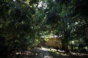 A pathway leading to a wooden structure surrounded by dense foliage.