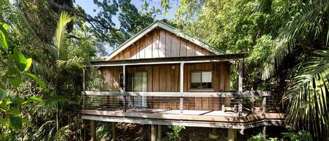A wooden cabin with a balcony, surrounded by dense foliage.