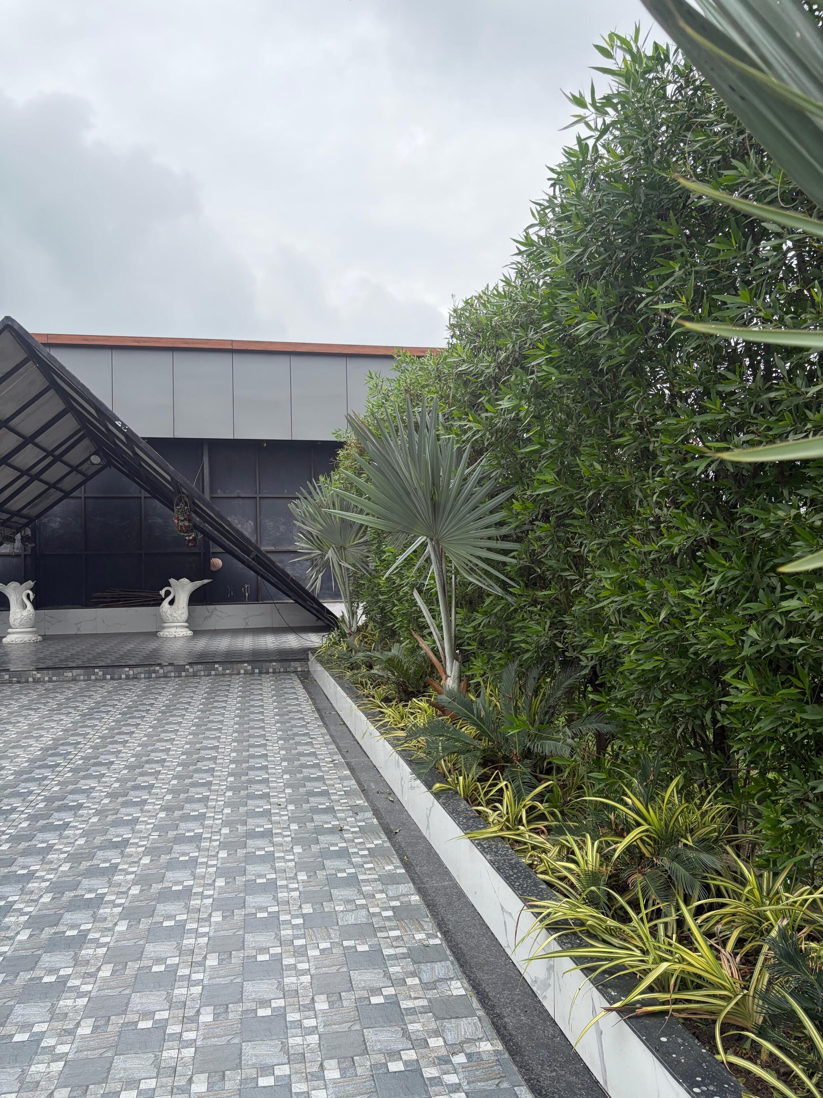Un patio empavedado con una escalera de metal, rodeado de abundante vegetación y un edificio de fachada gris.
