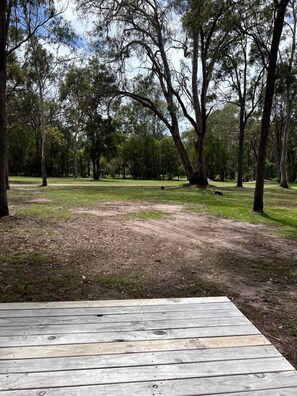 A wooden deck in a park with trees and a dirt path. - Luminous Tiny House Near the Coast in New South Wales (Booral)