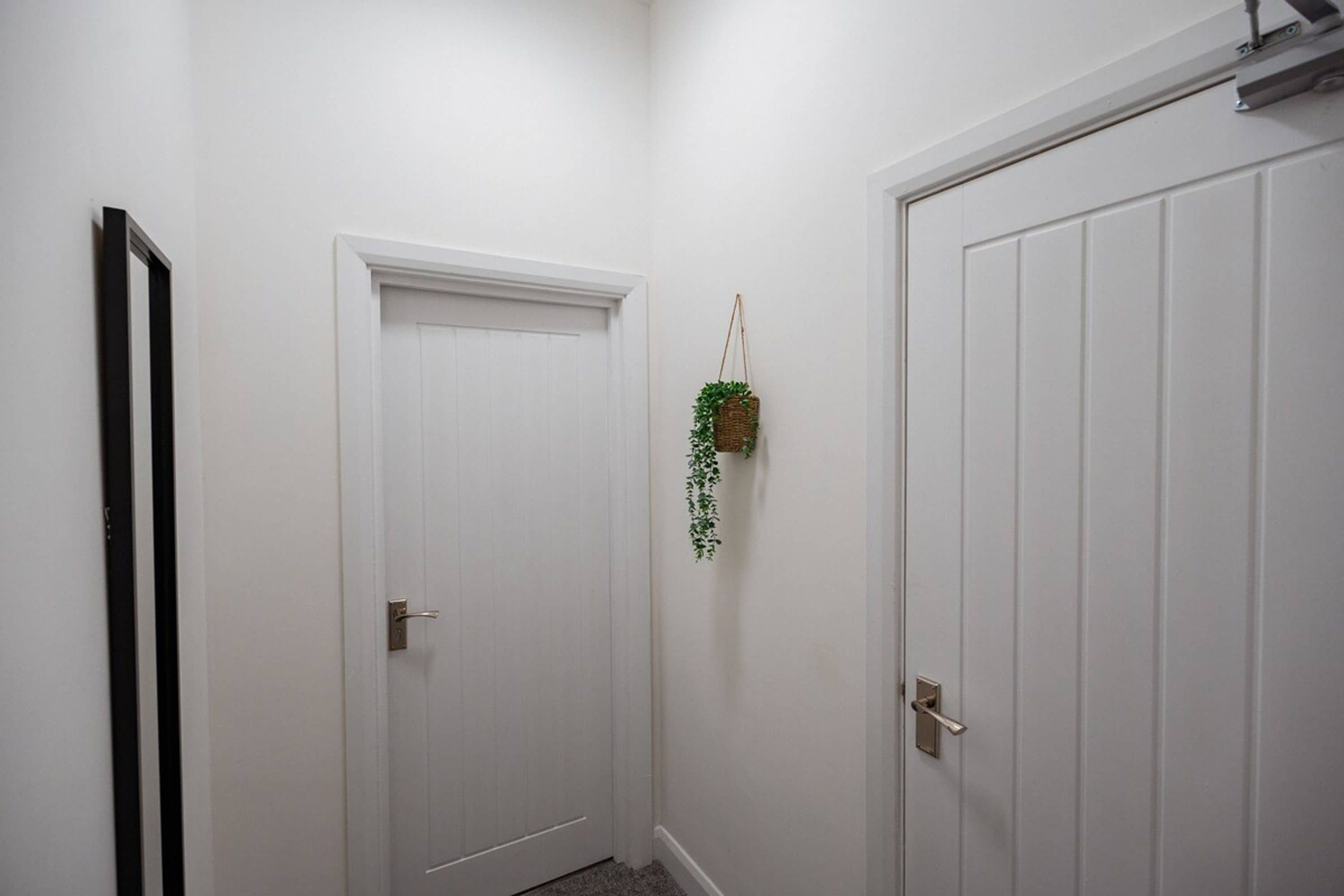 Un pasillo con dos puertas blancas, una con marco negro, y una planta colgante.