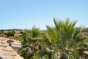 Ein gepflasterter Weg, flankiert von Palmen, unter einem strahlend blauen Himmel.