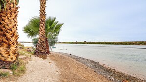 A beach with palm trees and a calm river. - Colorado River Family Escape in Bullhead City (Bullhead City)
