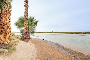 Ein Strand mit Palmen und einem ruhigen Fluss.