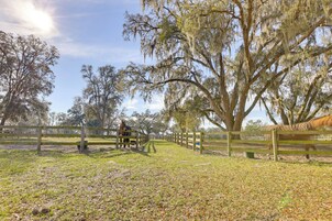 Un espacio al aire libre cercado con árboles y un caballo.
