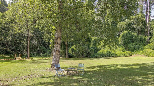 A park with a large tree, two benches, and a grassy area. - Centrally Located Nature Escape in Trenton (Trenton)