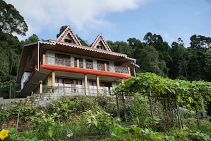 Unclassified image, 3 of 31, button - GADEN HOMESTAY RANGLI (Rangli)