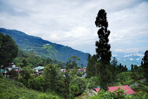A mountainous landscape with a village, houses, and a prominent tall tree.
