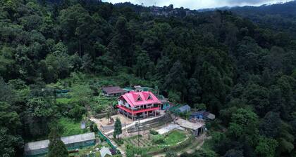 GADEN HOMESTAY RANGLI