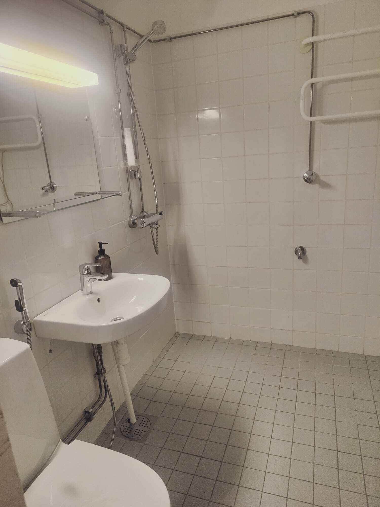Suihku, hiustenkuivaaja, pyyhkeet, vessapaperi
