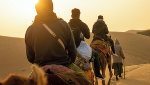 A group of people on camels in a desert setting.