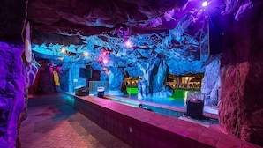 Un espace intérieur doté d’une piscine, de formations rocheuses et d’un bar.