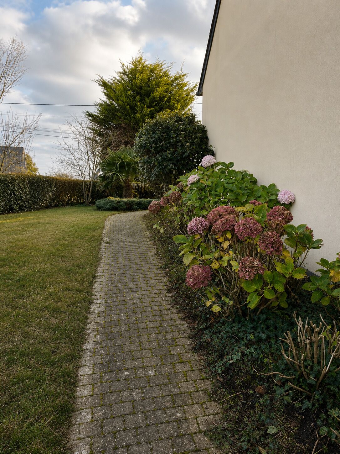A paved pathway leading to a building with a white exterior wall, surrounded by lush greenery and flowering plants.