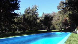 A clear blue swimming pool surrounded by grass and trees.