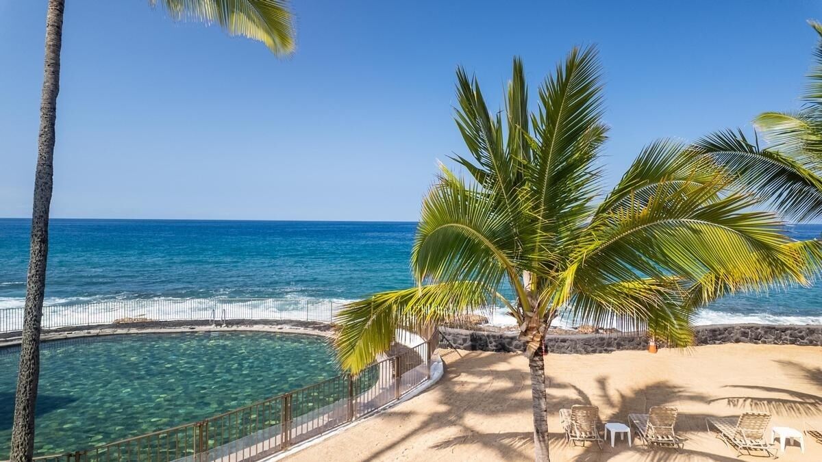 A beach with clear blue water, a sandy shore, and a palm tree.