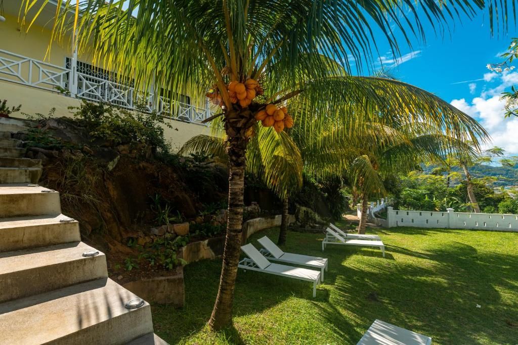 A poolside area with a palm tree, lounge chairs, and a staircase leading to a building.