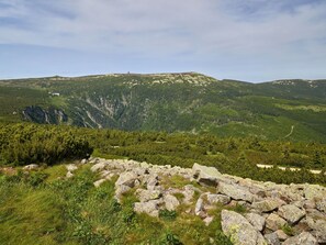 Bergforms, Berg, Vegetation, Hügel, Wiese, Hochland, Wildnis, Terrain, Ökoregion, Landschaft