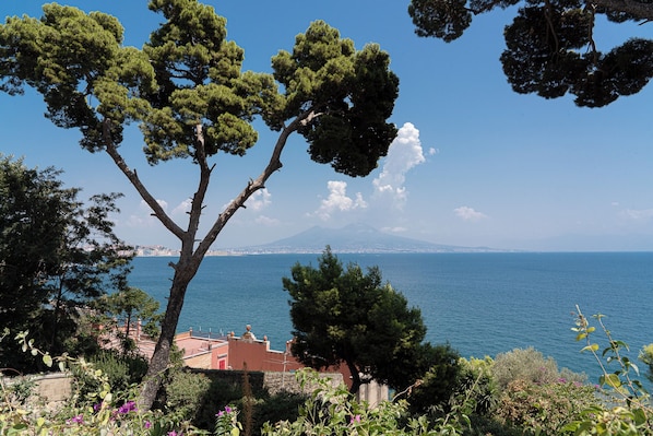 Unclassified image, 1 of 28, button - Via Posillipo 342 (Naples)