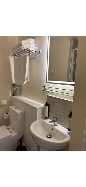 Chambre Triple Deluxe | Salle de bain