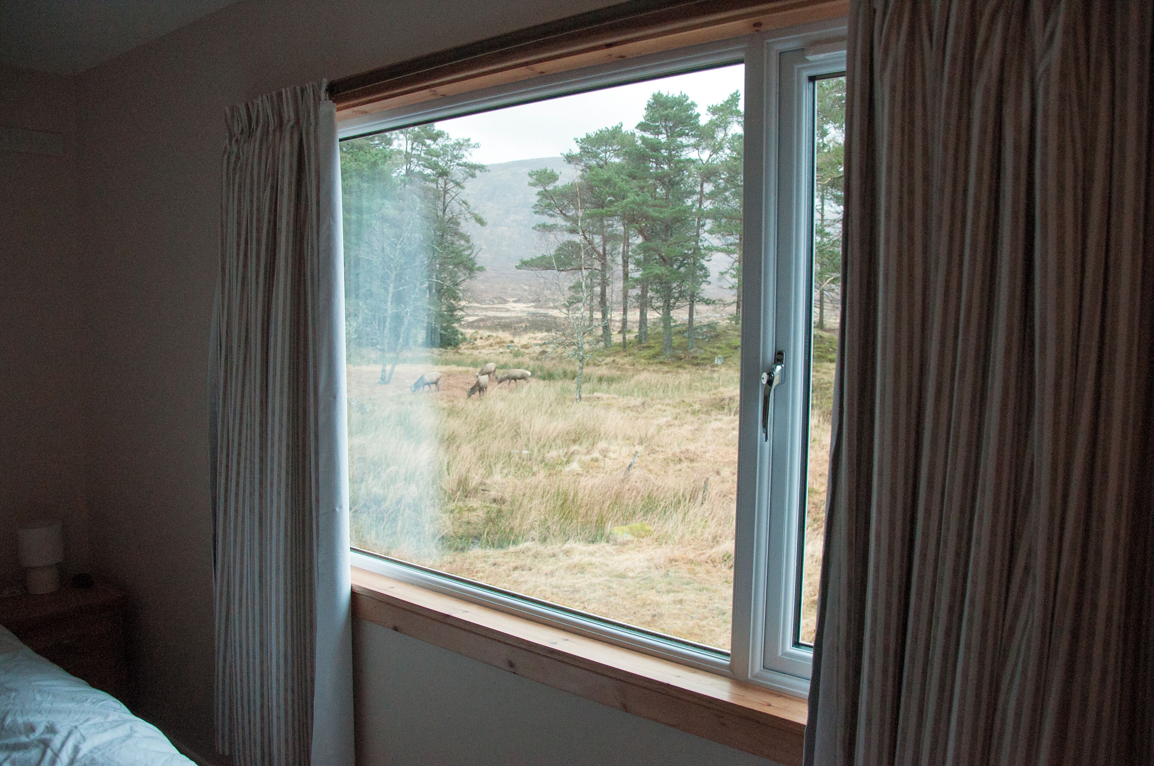 A room with a window overlooking a grassy area with trees and a mountain in the distance.