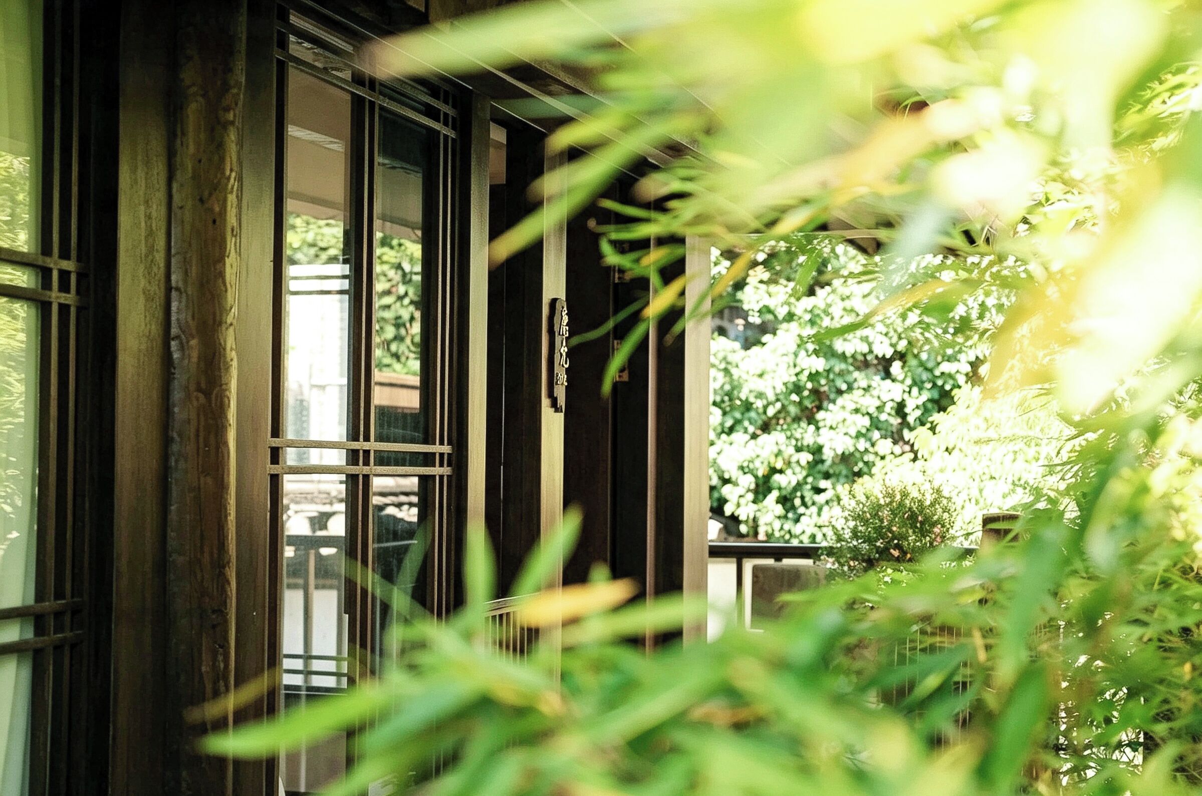 A view through a window with a metal gate, leading to a garden with green foliage and a white flowering plant.