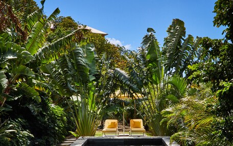 A clear pool with two yellow lounge chairs facing it, surrounded by lush tropical foliage.