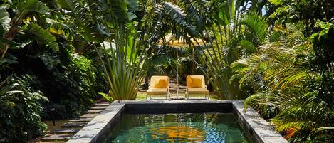Una piscina cristalina con dos sillas de descanso amarillas frente a ella, rodeada de exuberante follaje tropical.