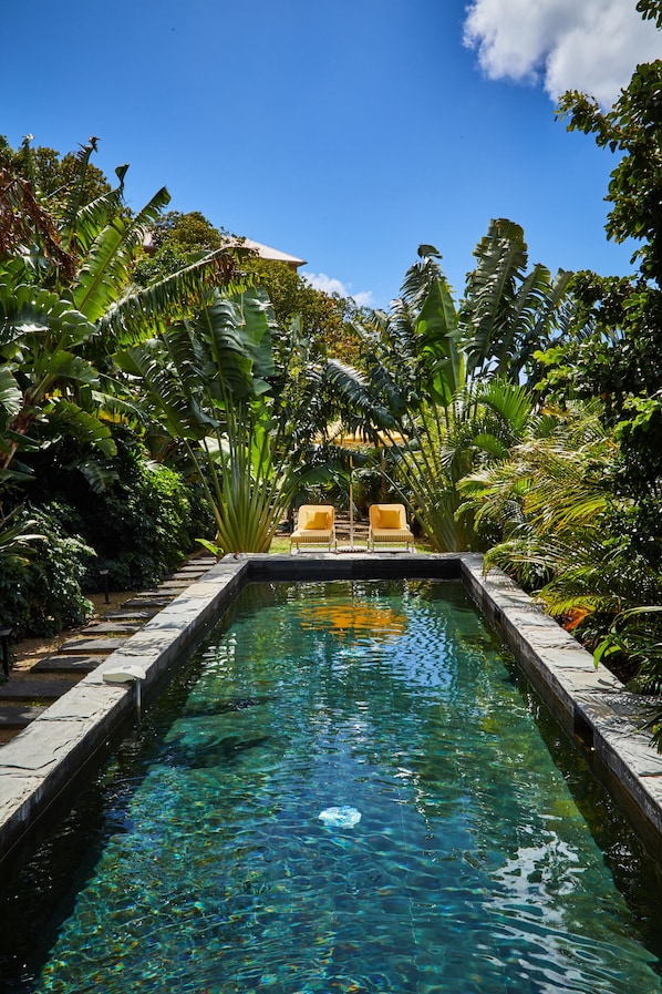 Une piscine aux eaux cristallines, bordée de deux chaises longues jaunes, le tout entouré d’une végétation tropicale luxuriante.