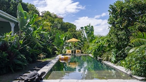 A rectangular pool with a stone border, surrounded by lush greenery and a thatched umbrella.