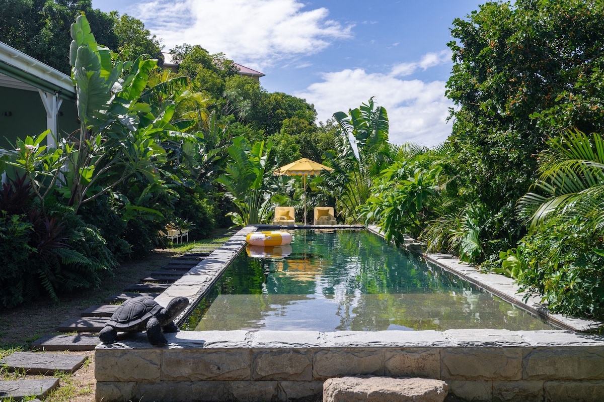 Une piscine rectangulaire bordée de pierres, entourée d’une végétation luxuriante et agrémentée d’un parasol en chaume.