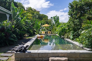 Une piscine rectangulaire bordée de pierres, entourée d’une végétation luxuriante et agrémentée d’un parasol en chaume.