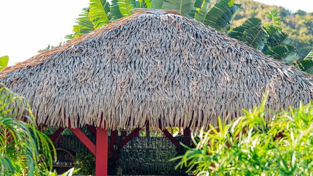 Una estructura con techo de paja, con una mesa y sillas de madera, rodeada de exuberante vegetación y un sendero de piedra.