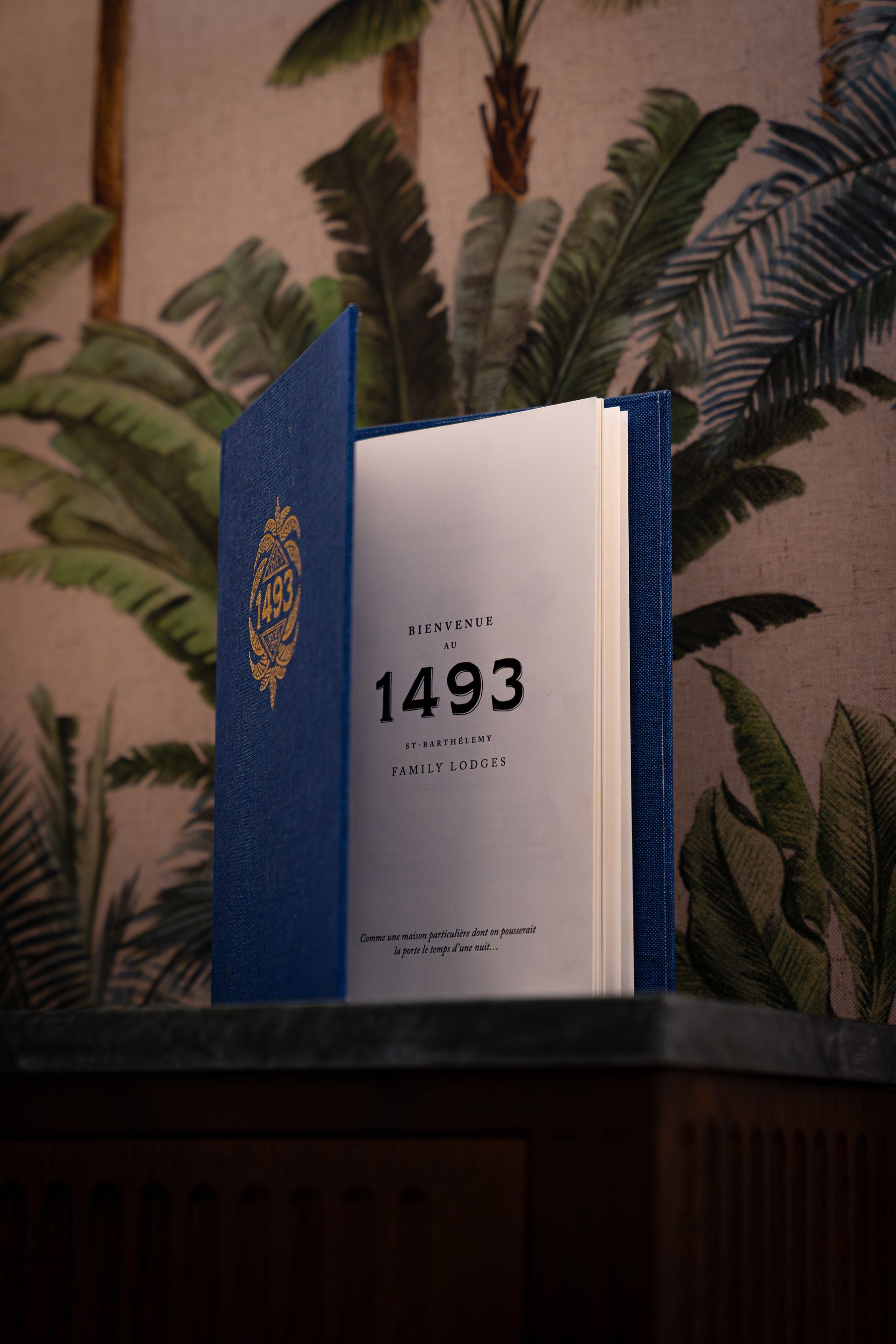 A book titled 'BIENVENUE AU 1493' with a decorative emblem on the cover, placed on a surface with a patterned background.