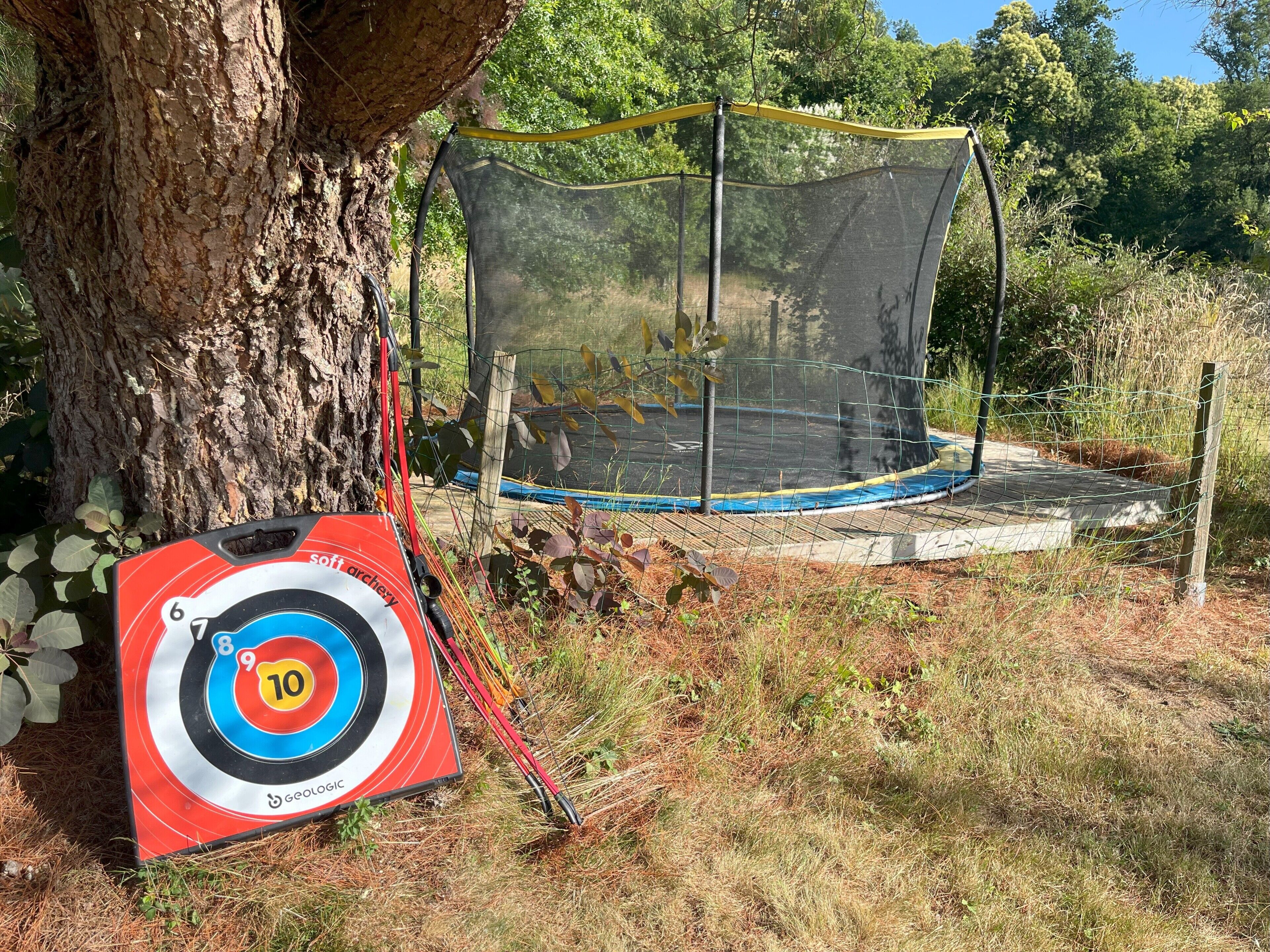 A tree, a trampoline with a net, and a target board with numbers 6 to 10.
