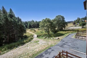 Asfaltoitu polku, joka kulkee metsäisen alueen läpi, ja sen yläpuolella on kirkas taivas.