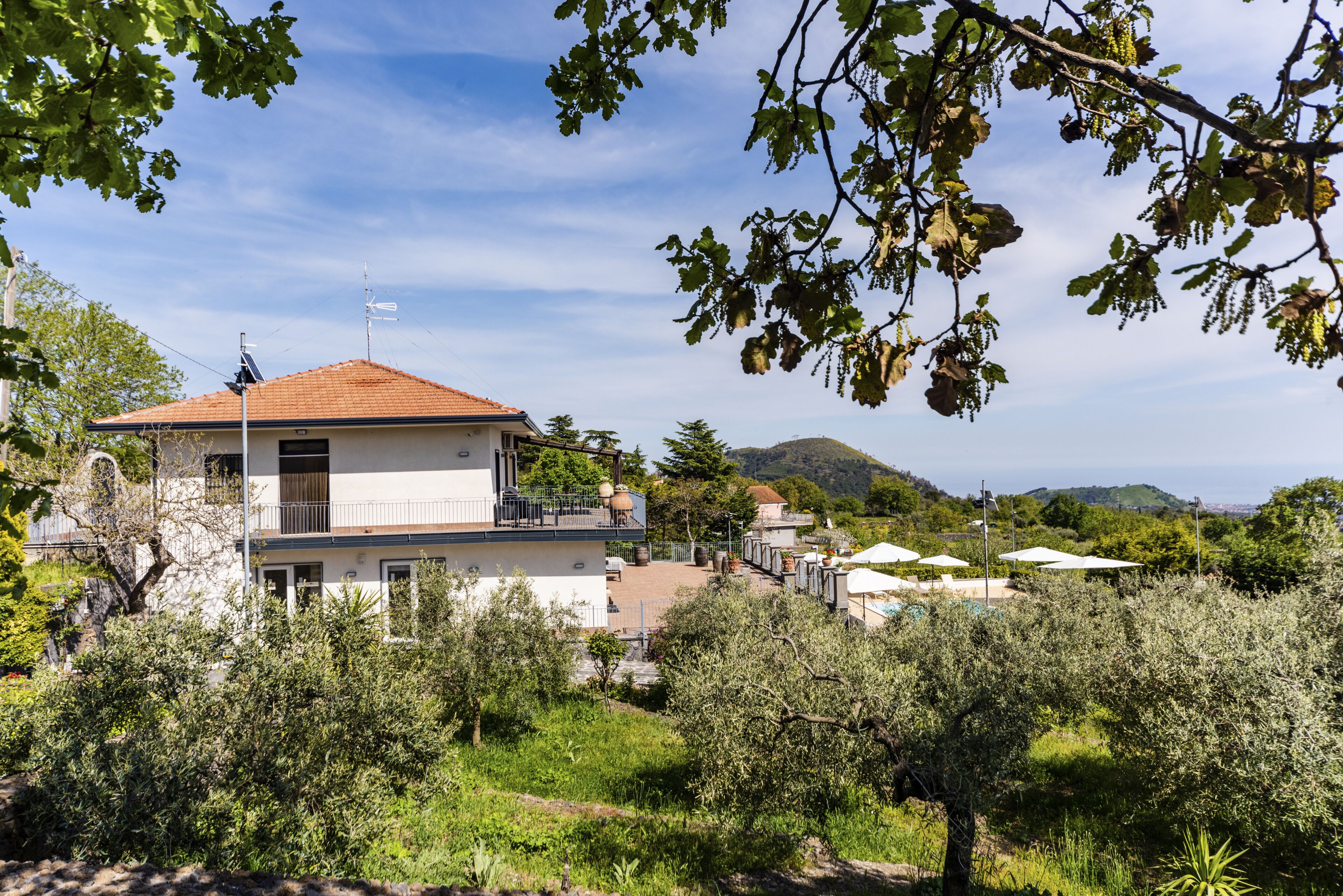 A two-story house with a balcony, surrounded by olive trees and a hilly landscape.