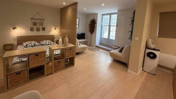 A modern living room with a sofa, a coffee table, and a TV. There is a window with curtains, a plant, and a radiator. - La Bohème - Historic City Centre Studio – Aix Cours Mirabeau (Aix-en-Provence)