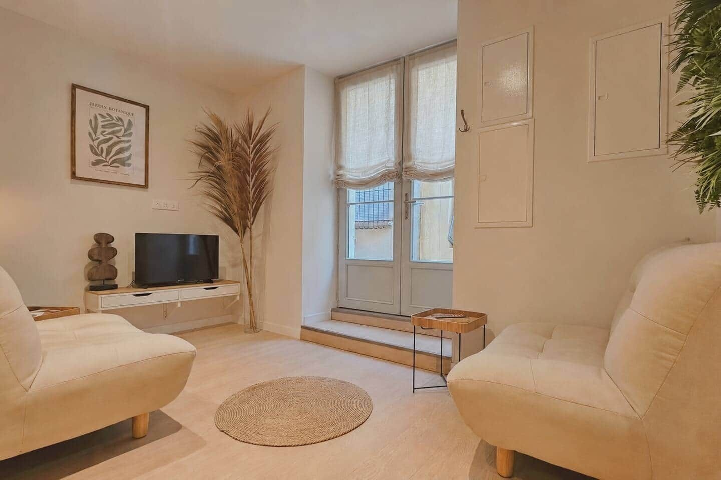 A living room with a sofa, a television, a decorative plant, and a window with curtains.