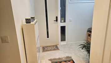 A narrow hallway with a door, a small window, and a plant.