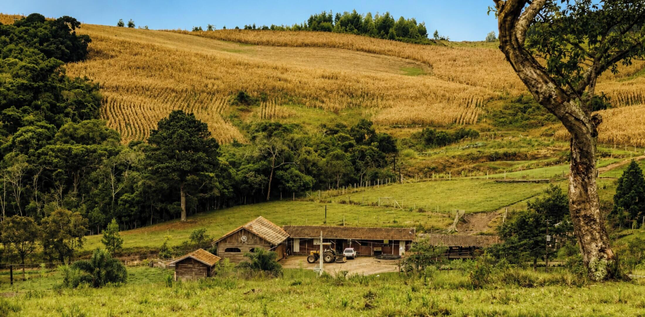 A rural landscape with a farmhouse, rolling hills, and a clear sky.