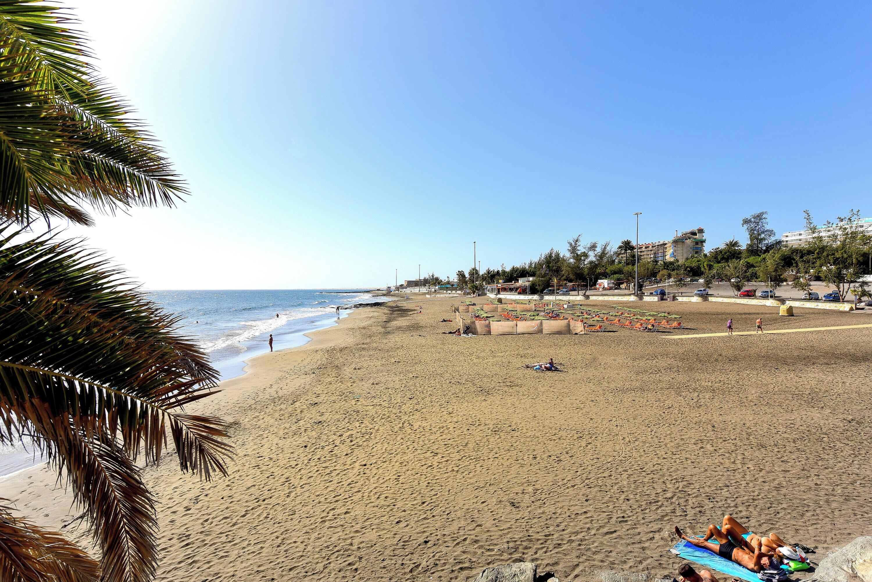 A beach with palm trees, a sandy shore, and a few people.