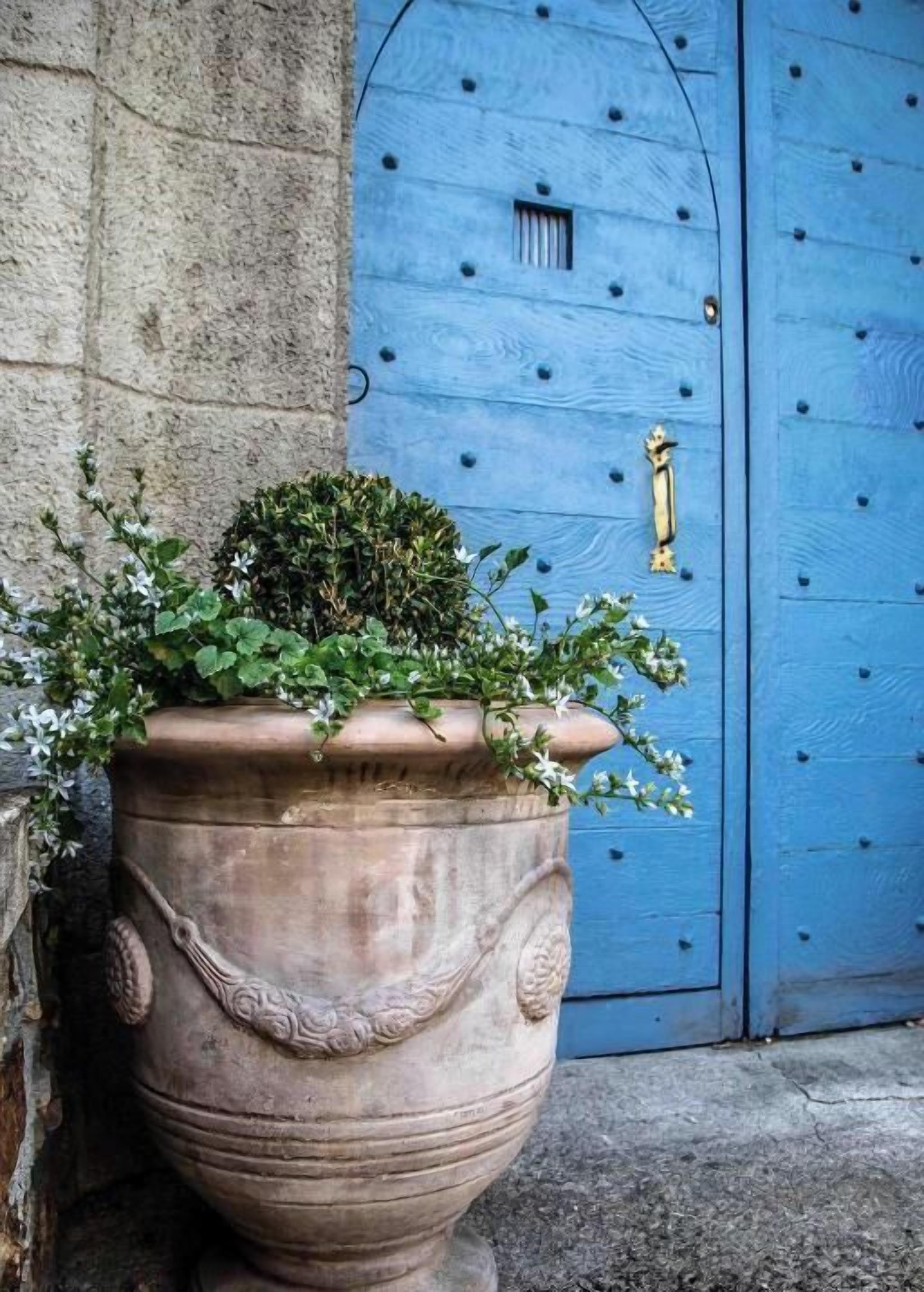 Um grande vaso de terracota com um topiário e flores brancas, posicionado em frente a uma parede de pedra e uma porta azul com puxador de latão.