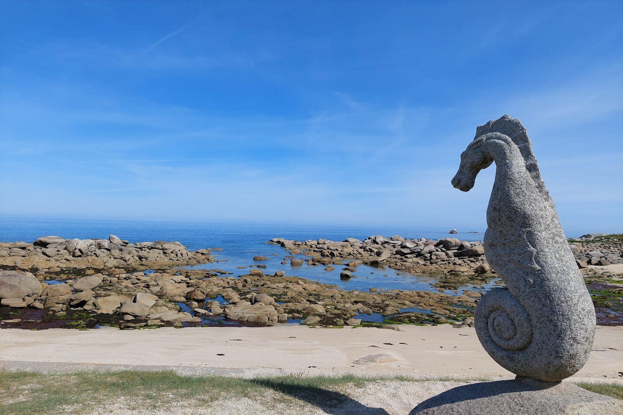 Une sculpture d’hippocampe sur une plage rocheuse, avec l’océan en arrière-plan.
