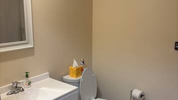 Shower, towels, toilet paper