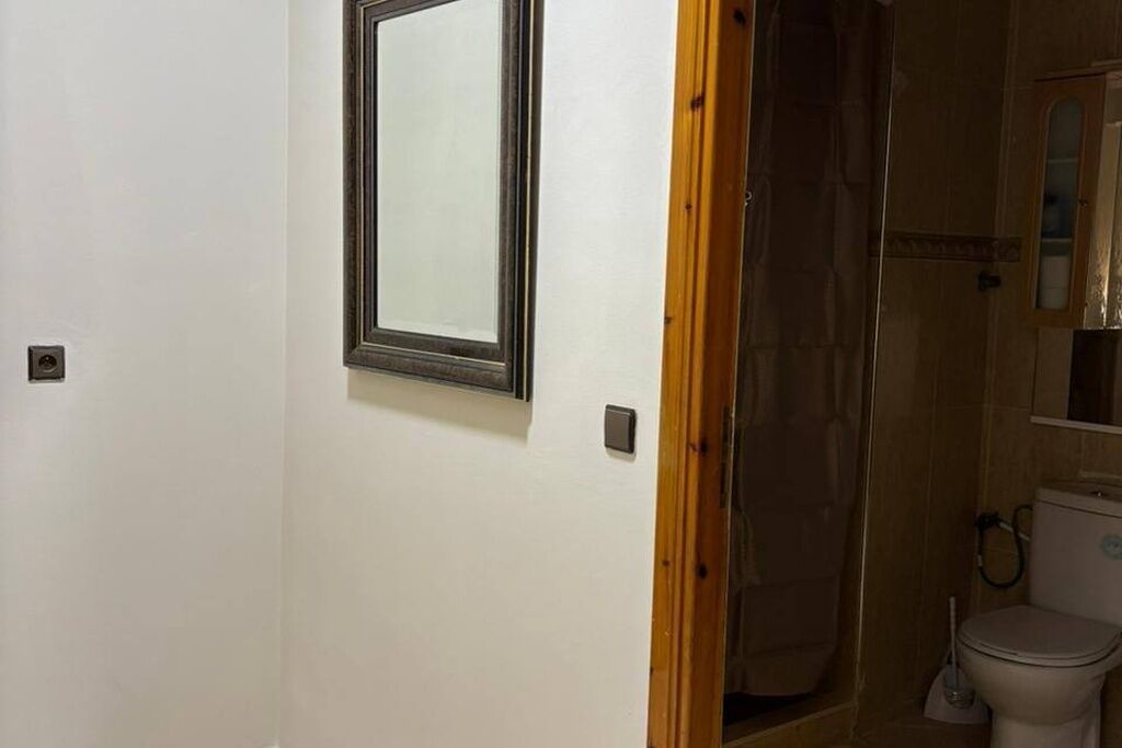 A bathroom with a toilet, a shower, and a mirror on the wall.