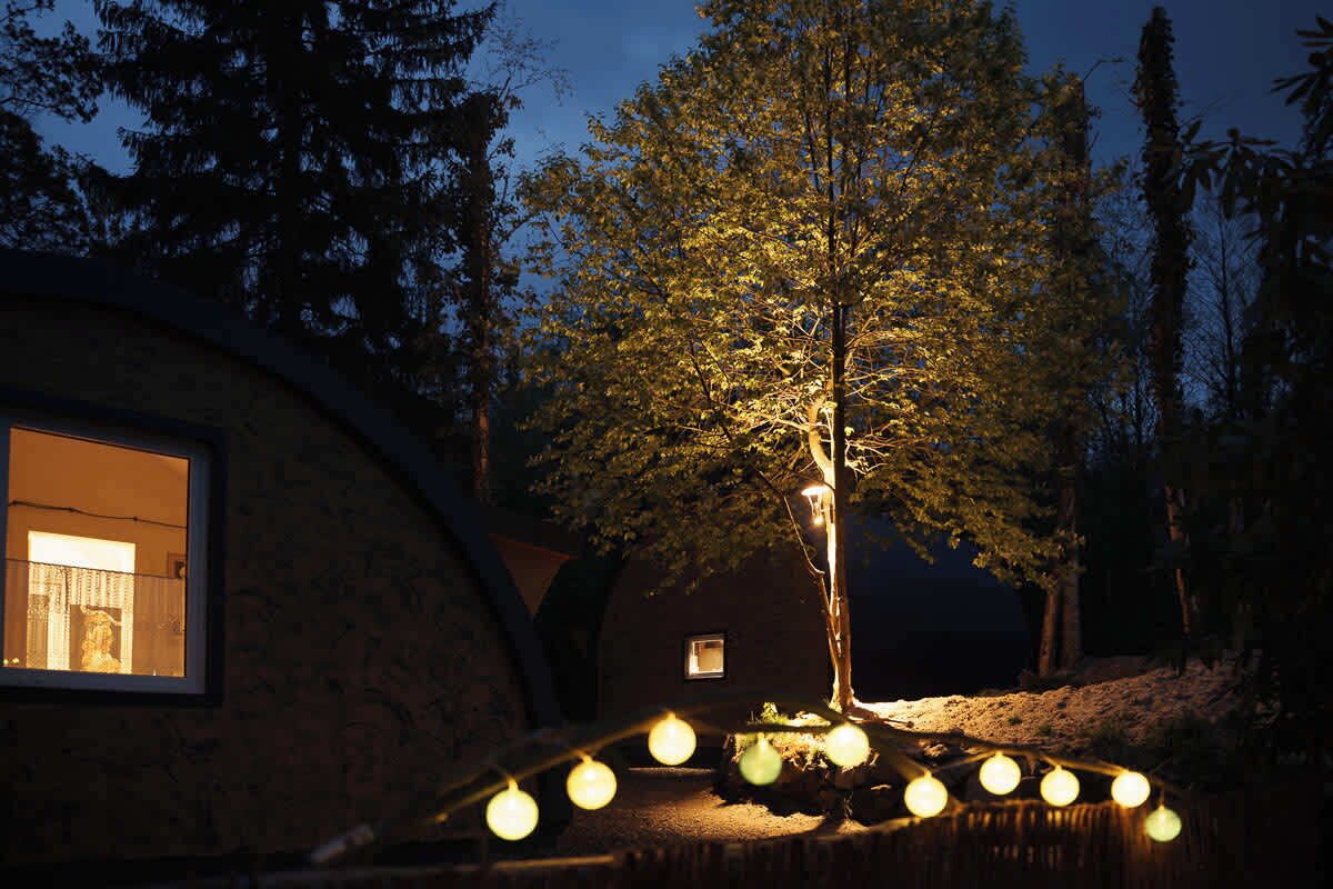 Un arbre il·luminat per llums, un edifici amb una finestra i una construcció circular.