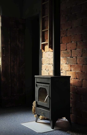 A wood-burning stove in a room with a brick wall and a wooden door.