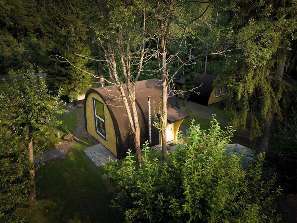 A house with a curved roof surrounded by dense forest.